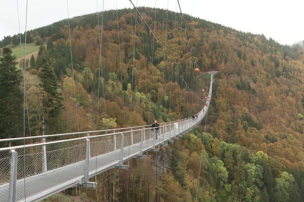 La passerelle suspendue de Todtnau, en Allemagne,  permet de franchir à pied une vallée, à120 mètres du sol, sur une longueur de 450 mètres.