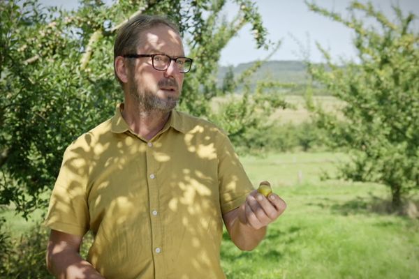 Luc Barbier est un arboriculteur qui apprécie particulièrement la mirabelle de Lorraine.