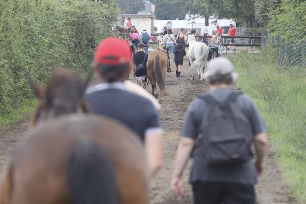 Lamotte-Beuvron accueille du 6 au 14 juillet les championnats de France poney.