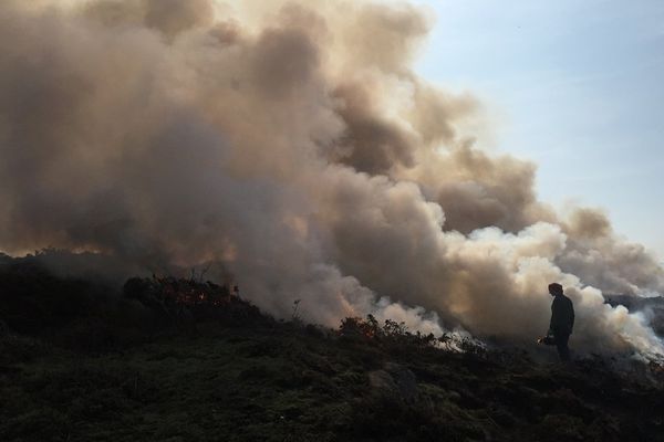 Allumer le feu pour mieux le contrôler par la suite, c'est le principe des brûlis dirigés pratiqués sur le littoral du Cotentin