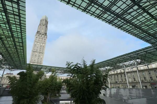 Amiens figure à la neuvième place du classement des villes vertes, effectué par l'Observatoire des villes vertes.