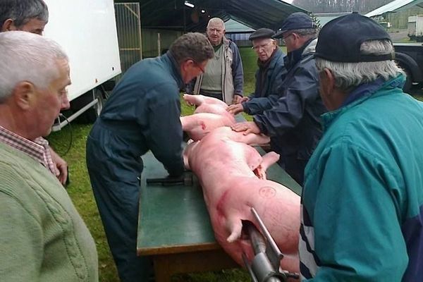 La "Fête du cochon de Neuville" en Corrèze a bénéficié de la réserve parlementaire de François Hollande en 2012