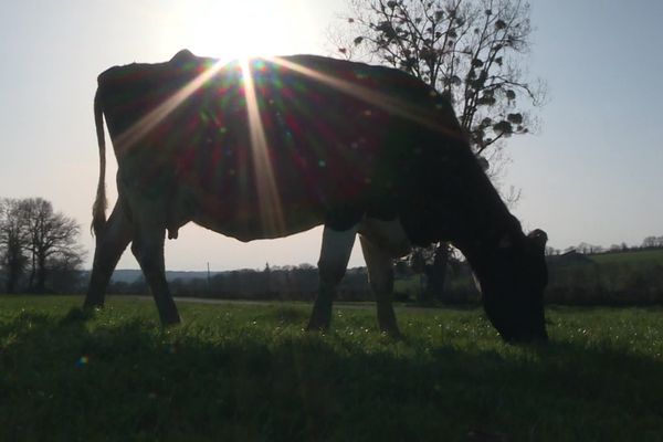 Ma France 2022 - Des méthodes agricoles différentes pratiquées en Limousin