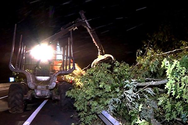 Abattage d'arbres sur l'autoroute A 20 à Limoges