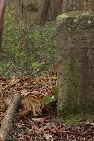 Une stèle marque le lieu du crash du bombardier britannique Lancaster PB 765 en forêt d'Holtzwihr, le 4 décembre 1944.