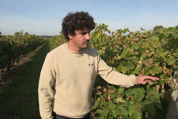 Guillaume Duluc, viticulteur basé à Touzac en Charente, s'inquiète face à l'arrivée de cette taxe chinoise.