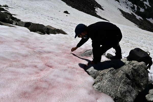 Un scientifique effectue un prélèvement sur le glacier Presena (Italie)