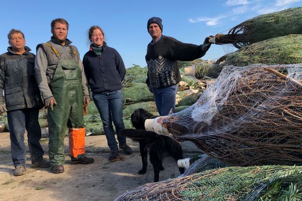 La famille Bugnon, producteurs de sapins à St-Bonnet-sur-Gironde dans le sud de la Charente-Maritime.