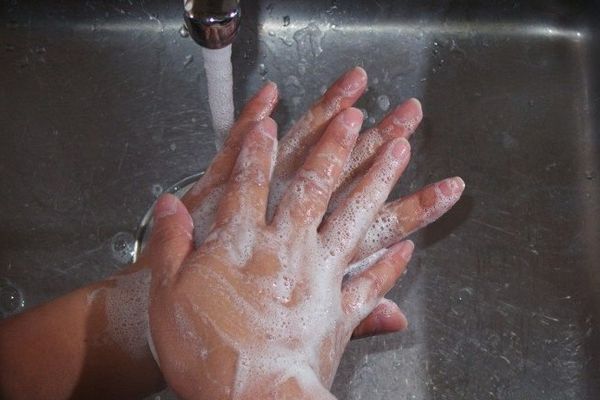 Pour éviter toute contamination, il est vivement recommandé de se laver les mains plusieurs fois par jour.