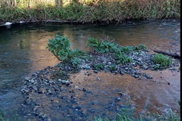 La rivière de la Hem sur la commune de Recques-sur-Hem.