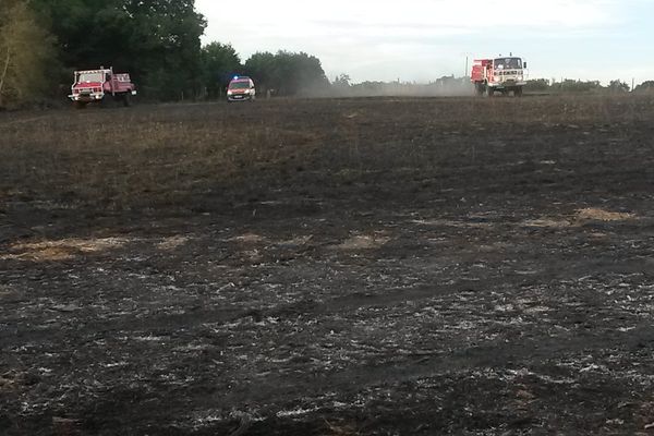 L'incendie a ravagé près de 20 hectares de broussailles, de prairies et de champs