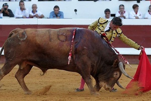 16 août 2014. Dax, Diego Urdiales et le toro de Pedraza de Yeltes. Un des points culminants de la saison.