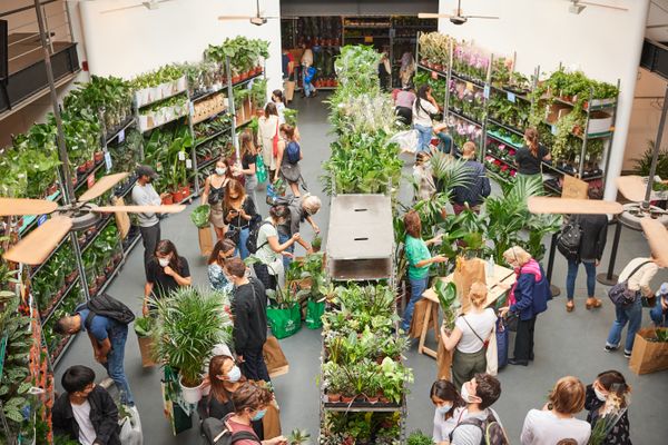 Depuis 2017, Plantes pour tous organise des ventes de plantes le temps d'un week-end. Le public y est à chaque fois très nombreux.