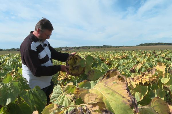 Dominique Pierre espère que les politiques apporteront du soutien aux agriculteurs qui ont perdu une partie de leurs productions.