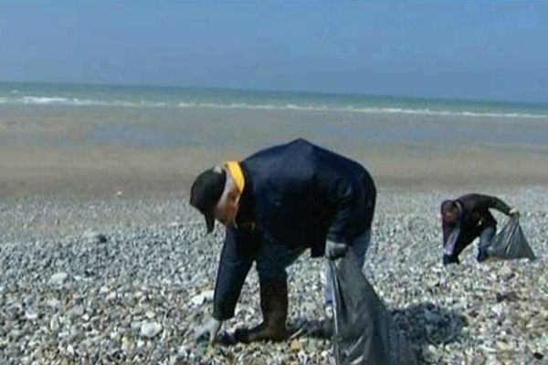 L'association "les balanes en ballade" a réussi à mobiliser beaucoup de volontaires sur la plage de St Martin en Campagne