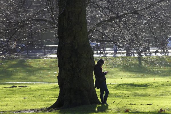 Point de vue image du monde : une journée d'hiver quasi printanière, avant le retour de la pluie demain dimanche