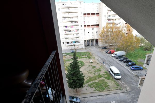 Les problèmes d'insécurité liés aux trafics sont récurrents dans la cité des Rosiers, dans le 14e arrondissement de Marseille.