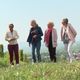 Les marcheurs pourront grimper jusqu'au château du Haut-Koenigsbourg au départ de six communes, dans le Bas-Rhin et le Haut-Rhin.