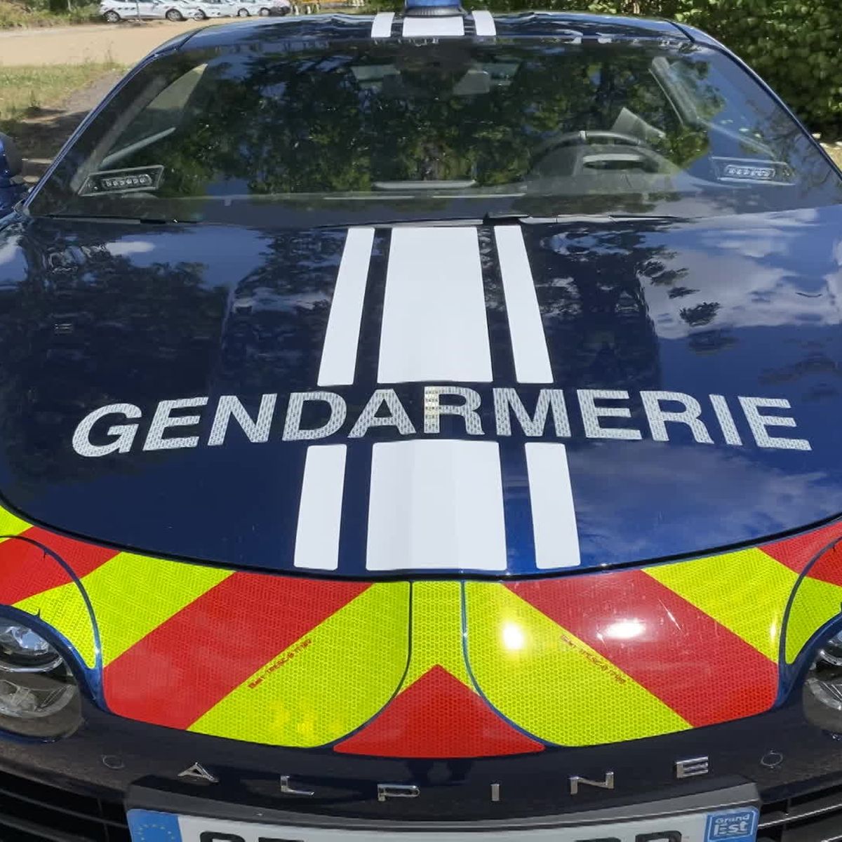 Haut-Rhin. Des nouvelles voitures pour les gendarmes et policiers