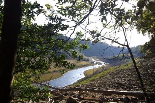 Le lac de Guerlédan inspire les artistes