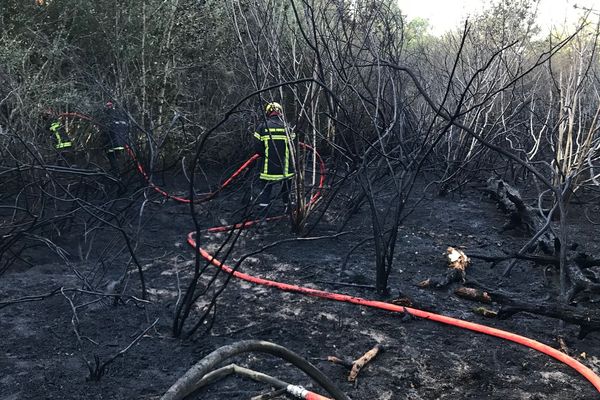 Les pompiers de Chauvigny en intervention.