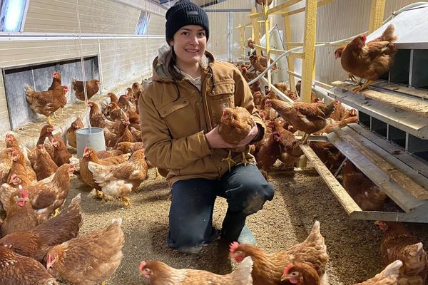 En un peu plus de 5 ans, Léa Fargeas, installée à Vitrac dans le Puy-de-Dôme, a réussi à faire connaître son élevage de poules bio.