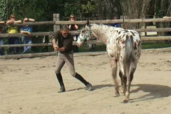 Chris Irwin parle "cheval" à Little, hongre de trois ans, particulièrement peureux - avril 2015