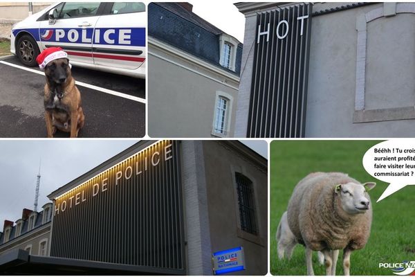 Tyson, l'HOTel de police du Mans, non les policiers ne comptent pas les moutons