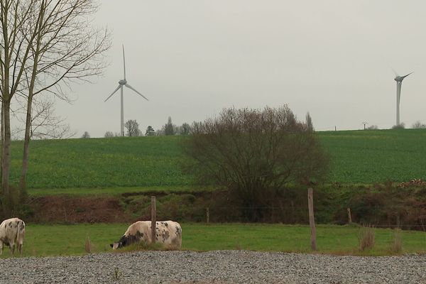 L'énergie éolienne représente 70% des énergies vertes de la Mayenne