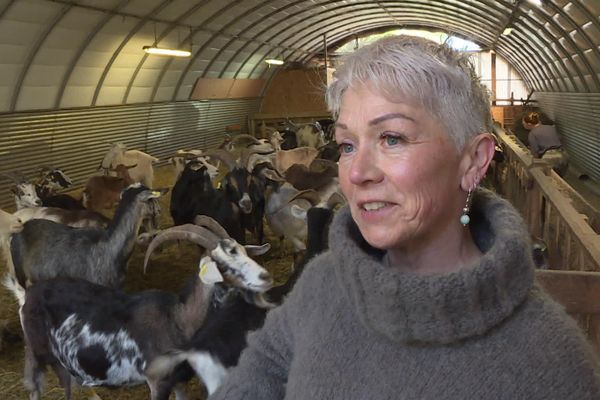 Audrey Lorient est chevrière à Cabasse, dans le Var.