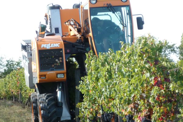 Le vignoble bordelais propose tout un ensemble de métiers différents 