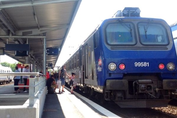 La panne concerne la ligne SNCF "classique" : Seuls les trains express régionaux (TER) sont touchés
