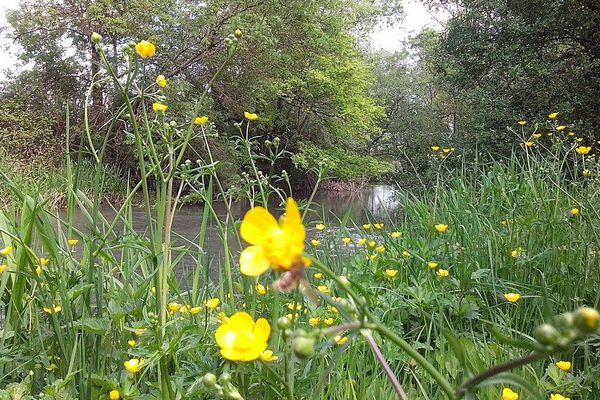 Saint-Angeau en Charente