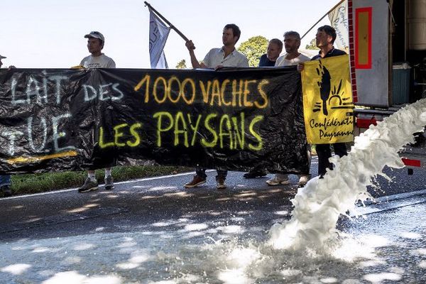 Opération coup de poing contre les "1 000 vaches" à Nieuwkerke.