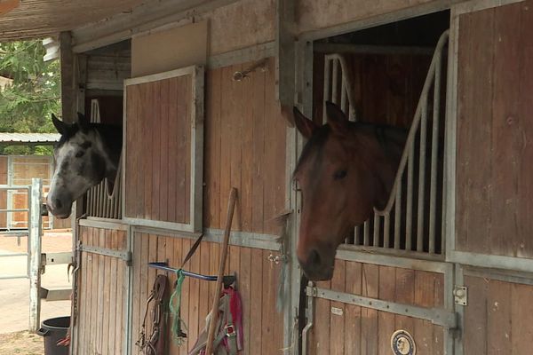 Touchés eux aussi par la crise, les centres équestres vont pouvoir bénéficier d'une aide exceptionnelle. On en compte plus de 300 en Picardie.