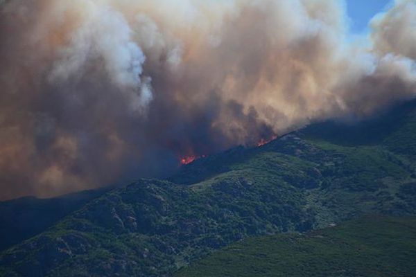 Le feu a détruit 1 800 hectares de végétation