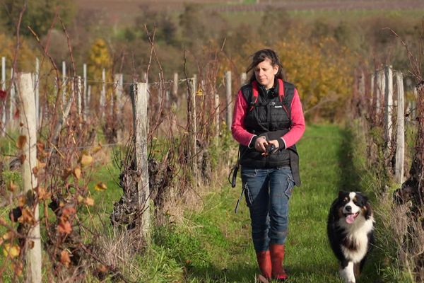 En septembre 2024 pendant les vendanges, face à la crise viticole, à la météo défavorable aux récoltes et aux coûts d'entretien de son domaine, elle se retrouve avec un peu plus d'un million d'euros de dettes.