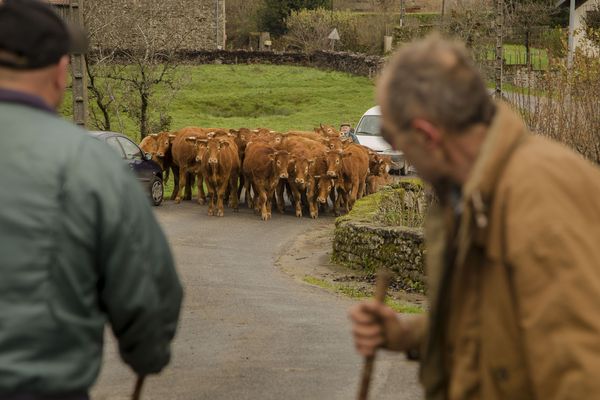 Deux jours après l'inauguration chaotique du Salon de l'agriculture, Emmanuel Macron avait annoncé la mise en place de permanences dans les préfectures et sous-préfectures pour les agriculteurs en difficulté. Photo d'illustration.