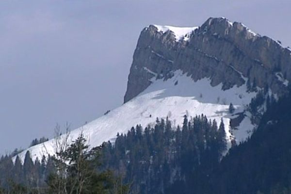 Sous les sommets, une forêt remarquable