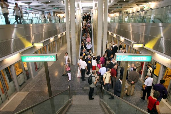 Avec 8 autres associations, Les Amis de la Terre dénoncent le déplacement de plusieurs dizaines d'espèces protégées ainsi que l'abattage d'arbres pour la création de la 3e ligne de métro.