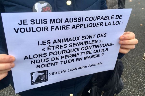 Brandissant des affiches, une quarantaine de membres de 269 Life a soutenu les dirigeants de l'association devant le palais de justice de Mâcon, en Saône-et-Loire.