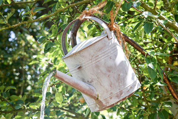 
 Encore un peu d’eau pour arroser le jardin
