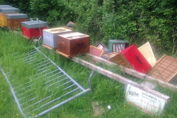 Les ruches de Châteauroux vandalisées par le jet d'une barrière. 