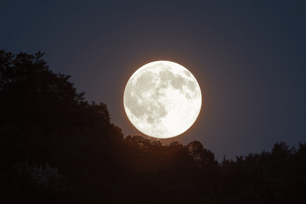 Photo de pleine lune