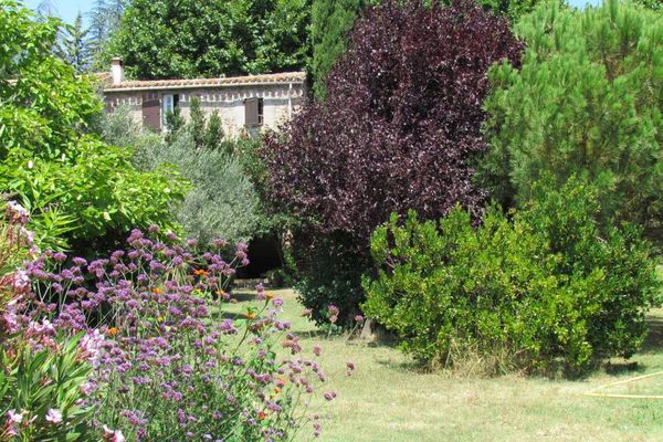 Les plantes résistantes de Caunes Minervois