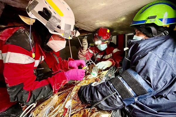 Les pompiers de l'urgence internationale, lors d'un exercice.