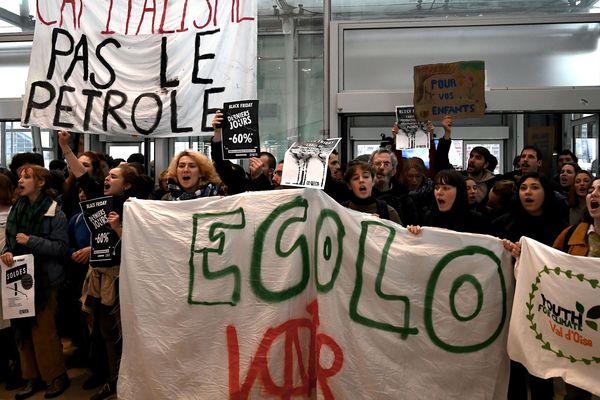 Des militants écologistes en région parisienne, vendredi 29 novembre 2019.