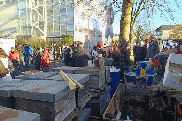 Plus de 150 apiculteurs se sont rassemblés ce jeudi matin devant le Conseil régional des Pays de la Loire