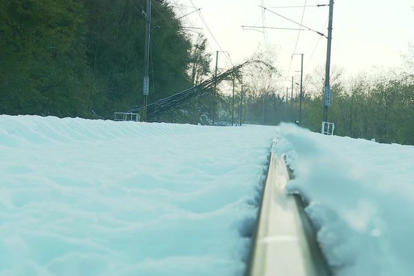 Arbres tombés sur les caténaires sur la ligne SNCF entre Grenoble et Lyon