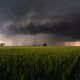 Ce jeudi 11 juillet, attention aux orages si vous êtes dans le Cantal ou en Haute-Loire. (Photo d'illustration)